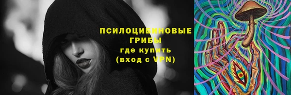 сатива Алзамай