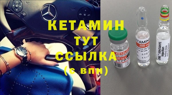сатива Алзамай