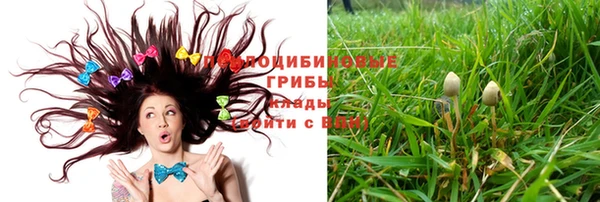 сатива Алзамай